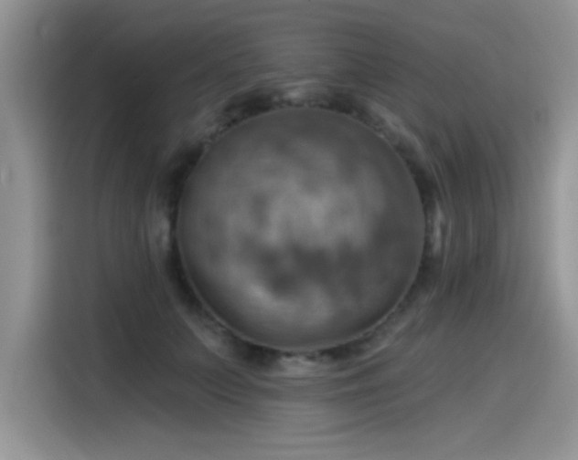 X0000115590703200911171030