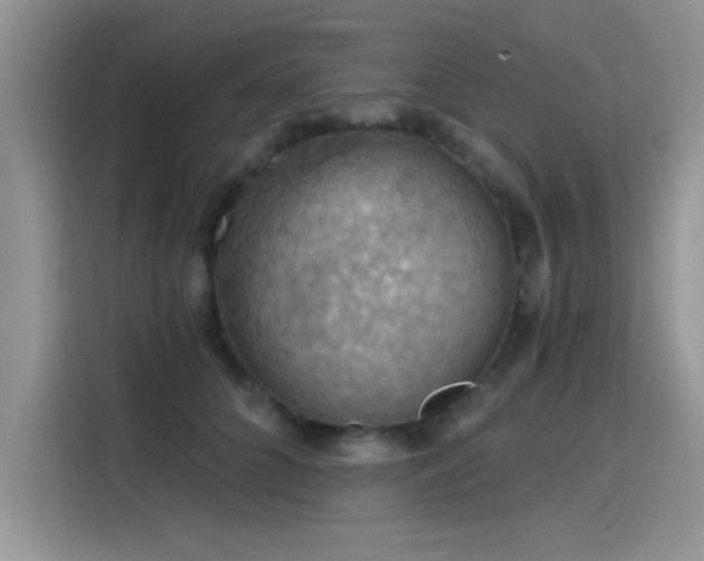 X0000115590704200911171030