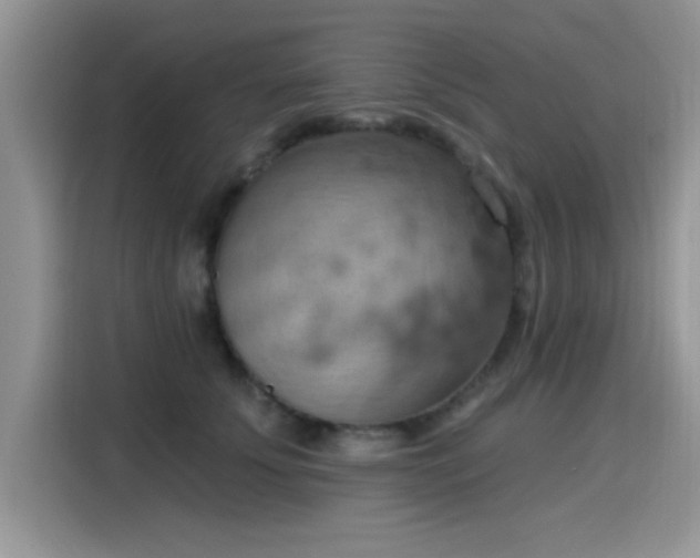 X0000115590707200911171030
