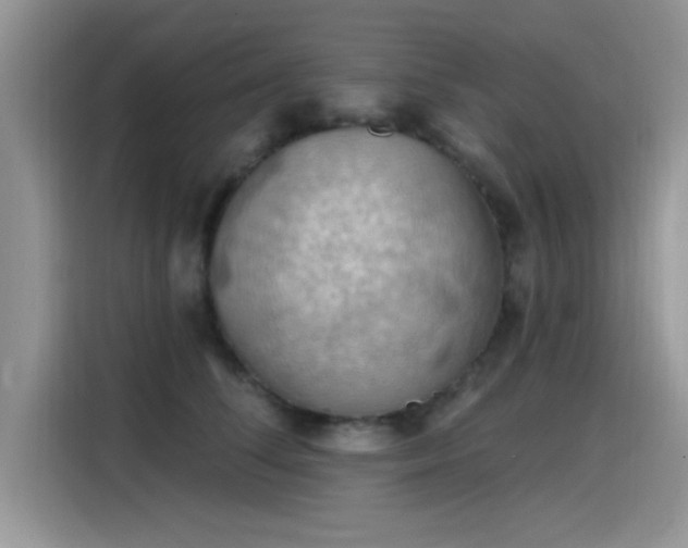 X0000115590708200911171030