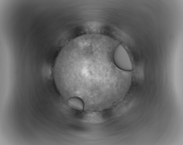 X0000115590709200911171030