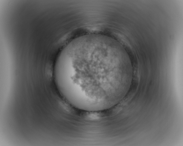 X0000115590710200911171030