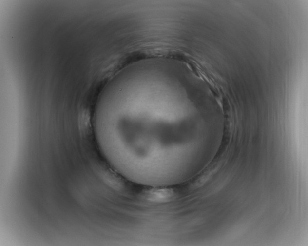 X0000115590711200911171030