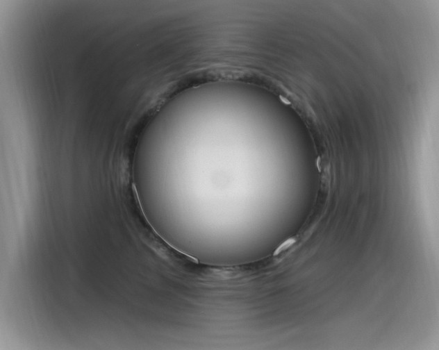 X0000115590713200911171030