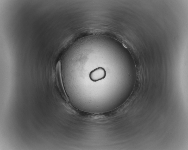 X0000115590716200911171030