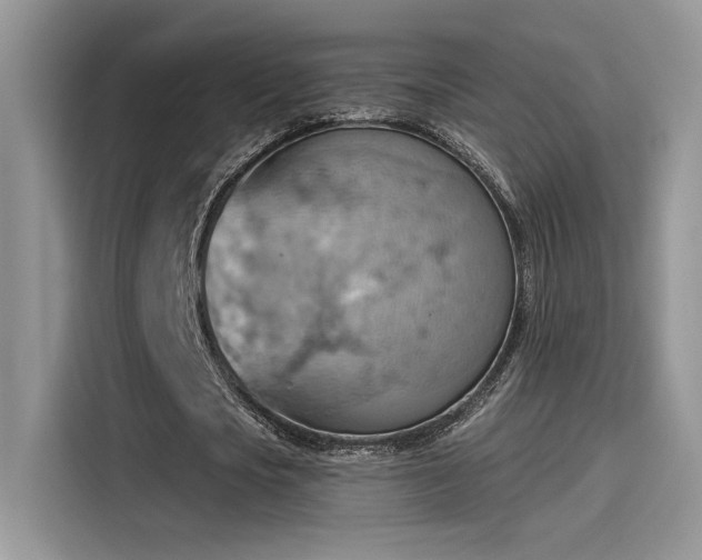 X0000115590721200911171029