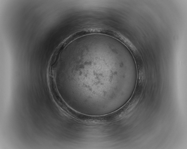 X0000115590722200911171029