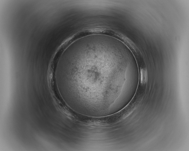 X0000115590723200911171029