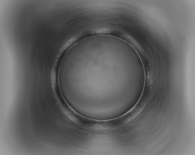 X0000115590725200911171029