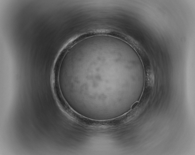 X0000115590726200911171029