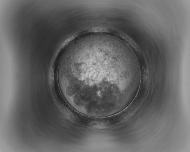 X0000115590727200911171029