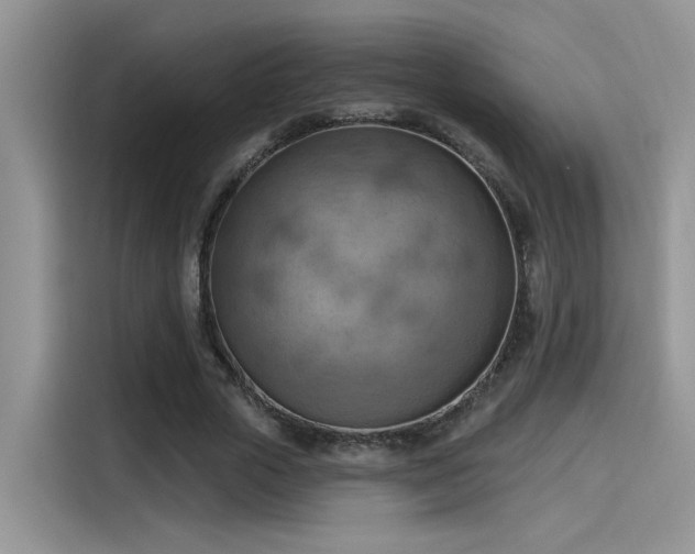 X0000115590729200911171029