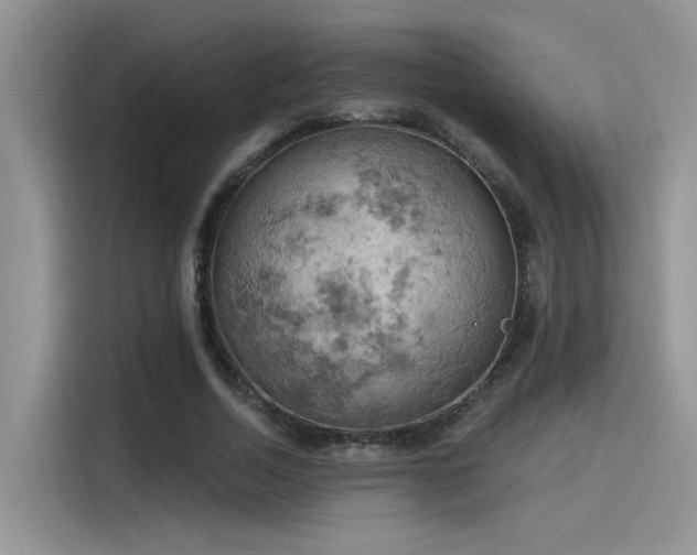 X0000115590730200911171029
