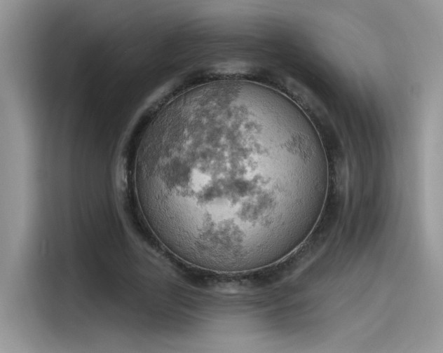 X0000115590731200911171029