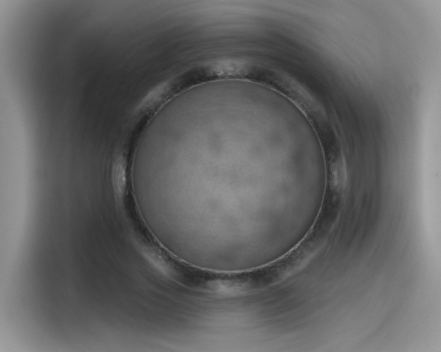 X0000115590733200911171029