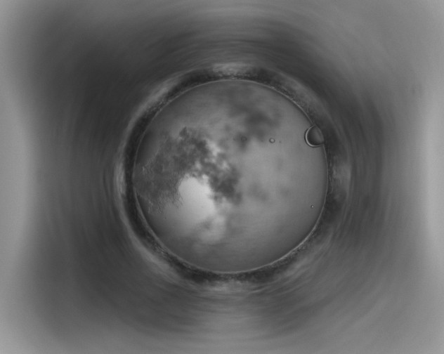 X0000115590734200911171029