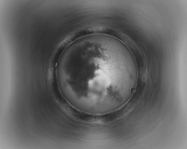 X0000115590735200911171029