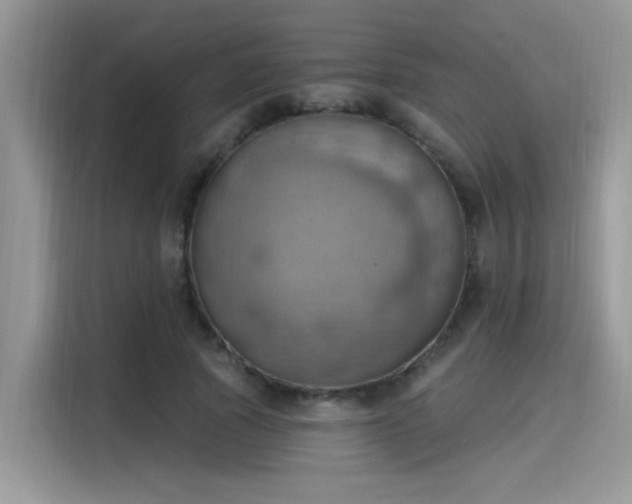 X0000115590737200911171029