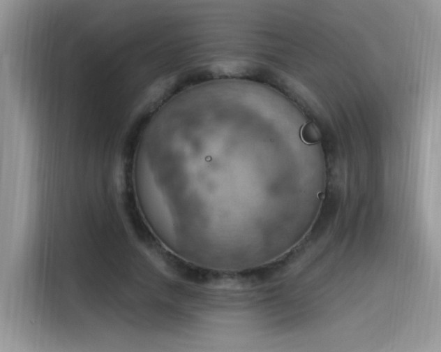 X0000115590738200911171029
