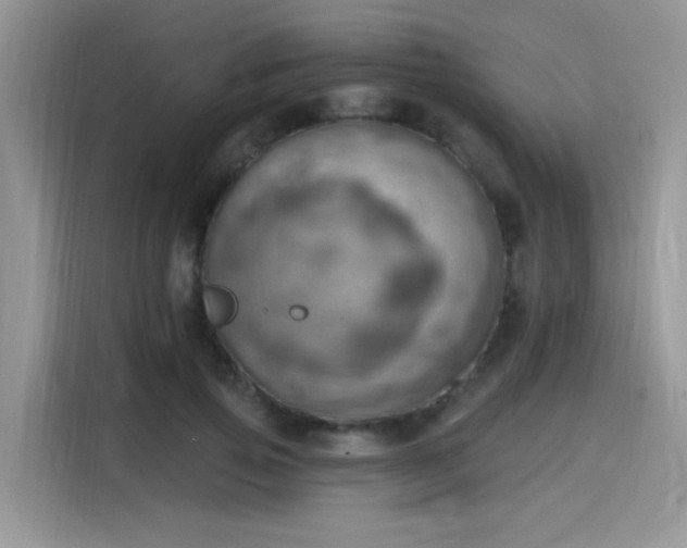 X0000115590741200911171029