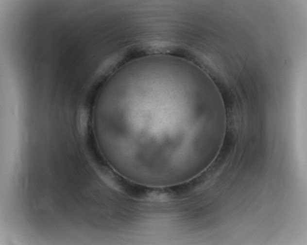 X0000115590742200911171029