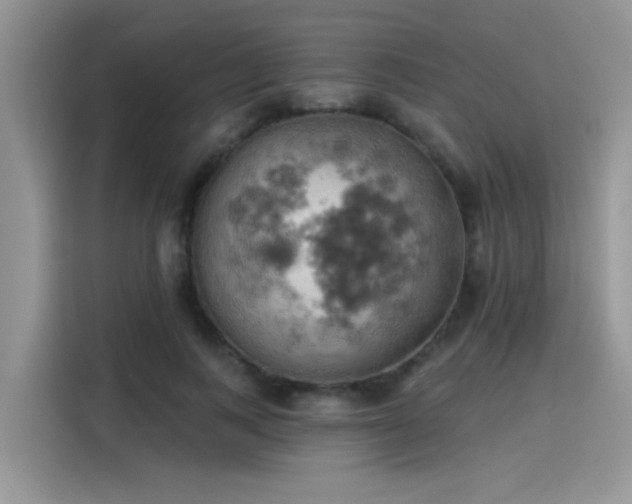 X0000115590743200911171029