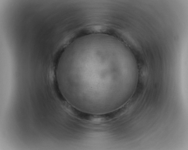 X0000115590746200911171029