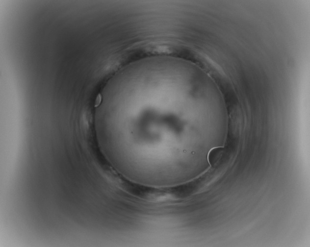 X0000115590747200911171029