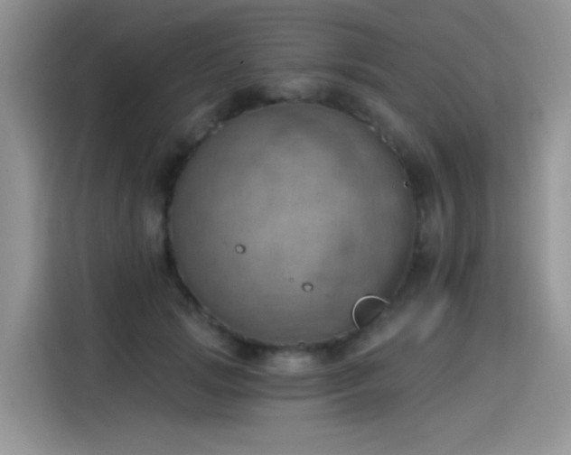 X0000115590749200911171029