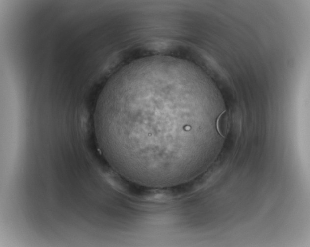 X0000115590750200911171029
