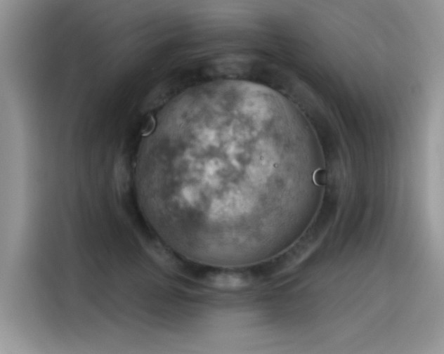 X0000115590751200911171029
