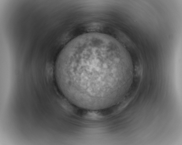 X0000115590753200911171029