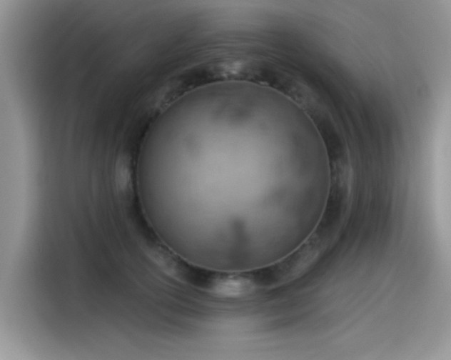 X0000115590754200911171029