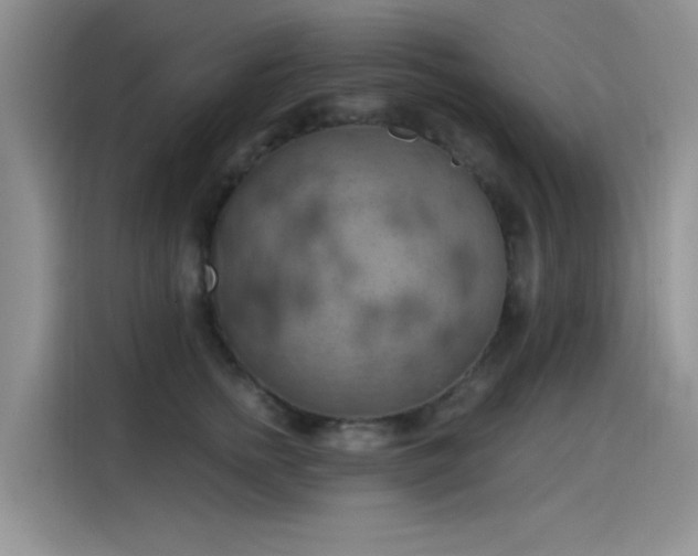 X0000115590758200911171029