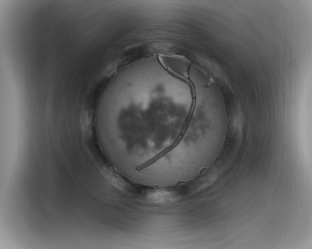 X0000115590759200911171029