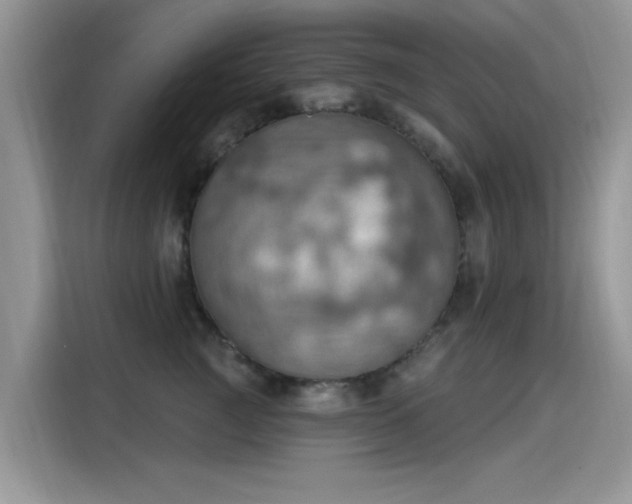 X0000115590761200911171029