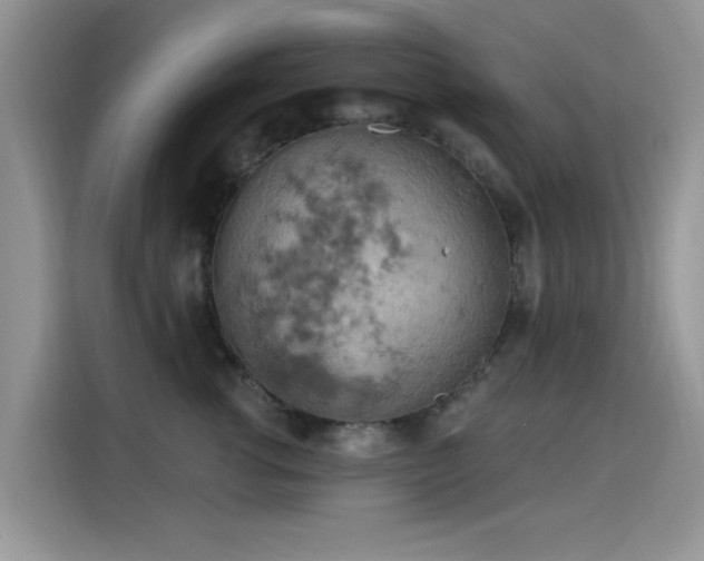 X0000115590762200911171029