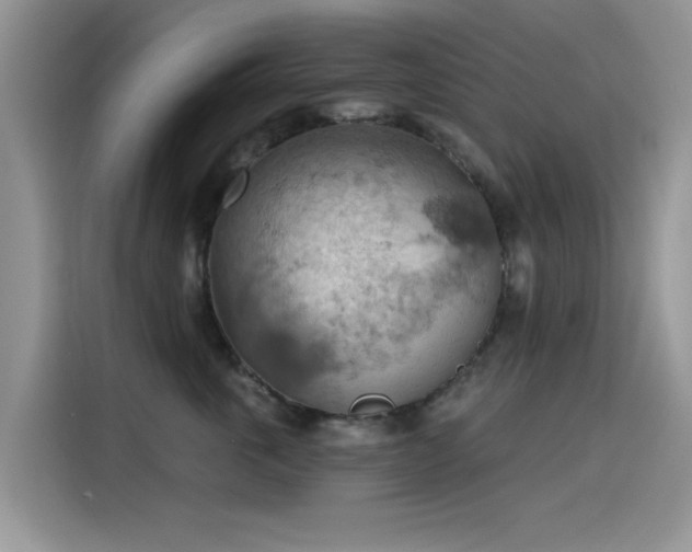 X0000115590763200911171029
