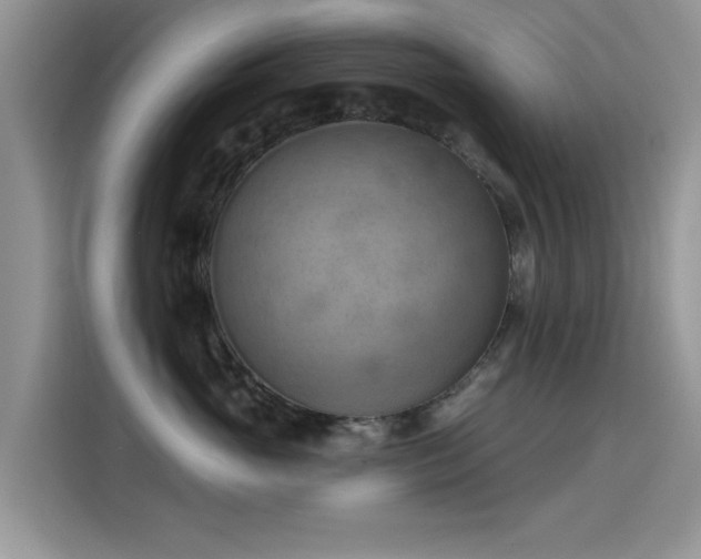 X0000115590765200911171029