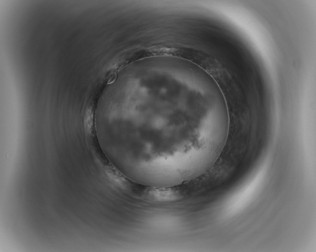 X0000115590767200911171029