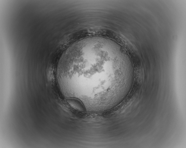 X0000115590770200911171029