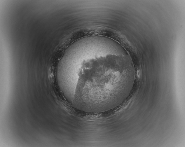 X0000115590771200911171029