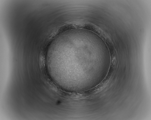 X0000115590772200911171029