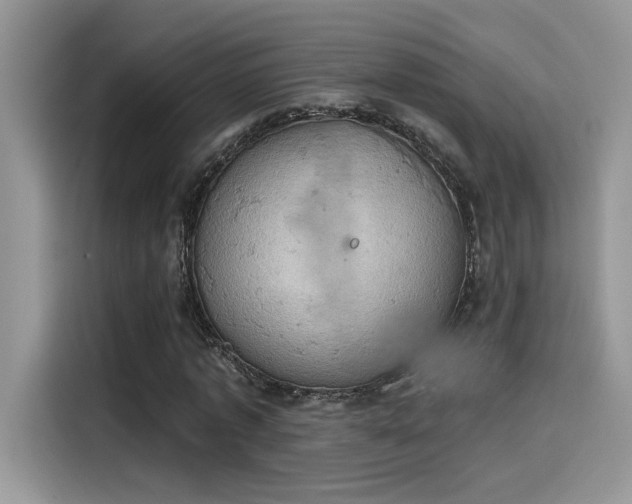 X0000115590773200911171029