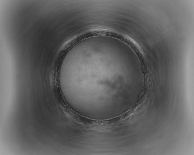 X0000115590775200911171029