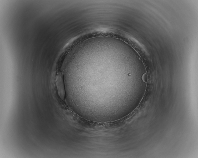 X0000115590776200911171029