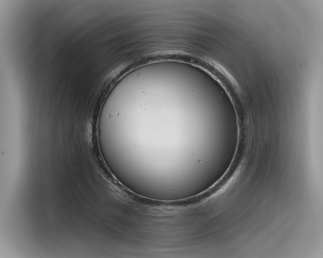 X0000115590777200911171029