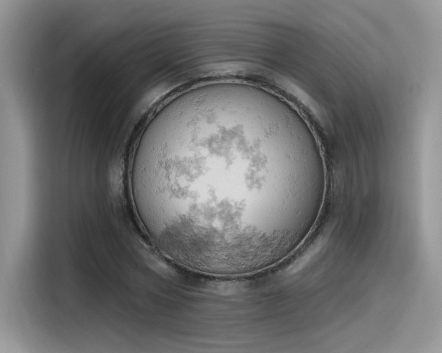 X0000115590778200911171029