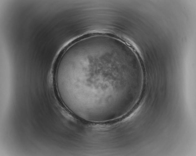 X0000115590779200911171029