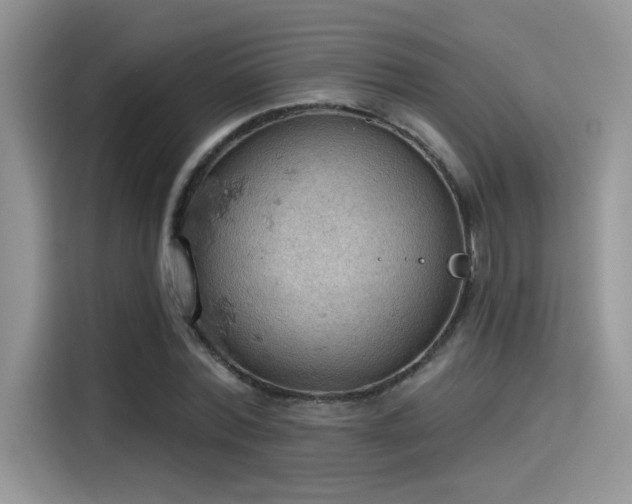 X0000115590780200911171029